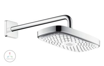 Верхний душ Hansgrohe Raindance 27385400